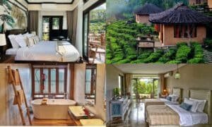 รวม ที่พักแม่ฮ่องสอน วิวหมอก ภูเขา และโฮมสเตย์วิวแสนอบอุ่น! แม่ฮ่องสอนที่พัก สไตล์โฮมมี่ที่เหมาะกับสายเที่ยวธรรมชาติ คู่รัก ตื่นมาพร้อมวิวทะเลหมอกสวยๆ