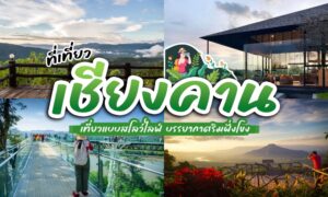 รวม ที่เที่ยวเชียงคาน กอดหมอกยามเช้าที่ ภูกระดึง ภูเรือ สุดชิล! เที่ยวเชียงคาน ทริปหน้าหนาว เชียงคานที่เที่ยว คือจังหวัดที่รวมทุกอย่างที่คนรักธรรมชาติตามหา!!