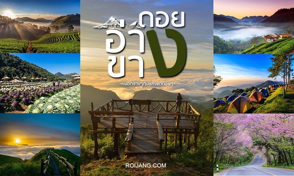 ภาพคอลลาจของทิวทัศน์ธรรมชาติที่สวยงาม ประกอบด้วยภูเขา ทุ่งดอกไม้ เต็นท์ จุดชมวิวไม้ และวิวพระอาทิตย์ขึ้น ซึ่งถ่ายทอดความงามของการท่องเที่ยวภาคเหนือได้อย่างลงตัว ส่วนตรงกลางมีข้อความภาษาไทยที่จัดวางอย่างประณีตบนภาพ ชวนผู้ชมให้มาสำรวจจุดหมายปลายทางอันน่าทึ่งเหล่านี้ในภาคเหนือของประเทศไทย.