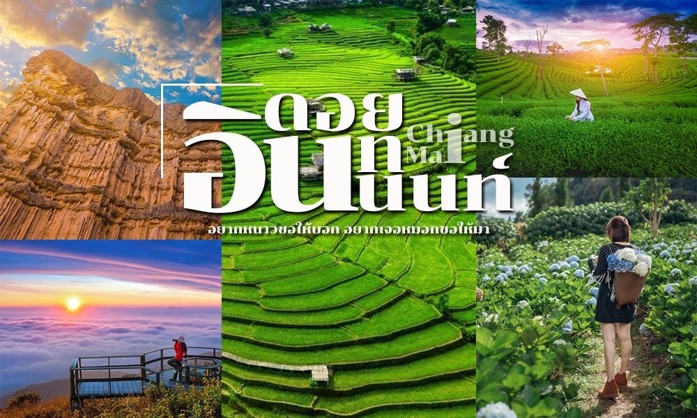 ภาพตัดต่อของทิวทัศน์ธรรมชาติที่สวยงามในเชียงใหม่ ประเทศไทย ซึ่งประกอบด้วยนาขั้นบันได ภูเขา จุดชมพระอาทิตย์ตก และบุคคลในสวนดอกไม้ — เป็นแรงบันดาลใจที่สมบูรณ์แบบสำหรับผู้ที่ต้องการสำรวจที่เที่ยวภาคเหนือ มีข้อความภาษาไทยและภาษาอังกฤษปรากฏอยู่ตรงกลางภาพ.