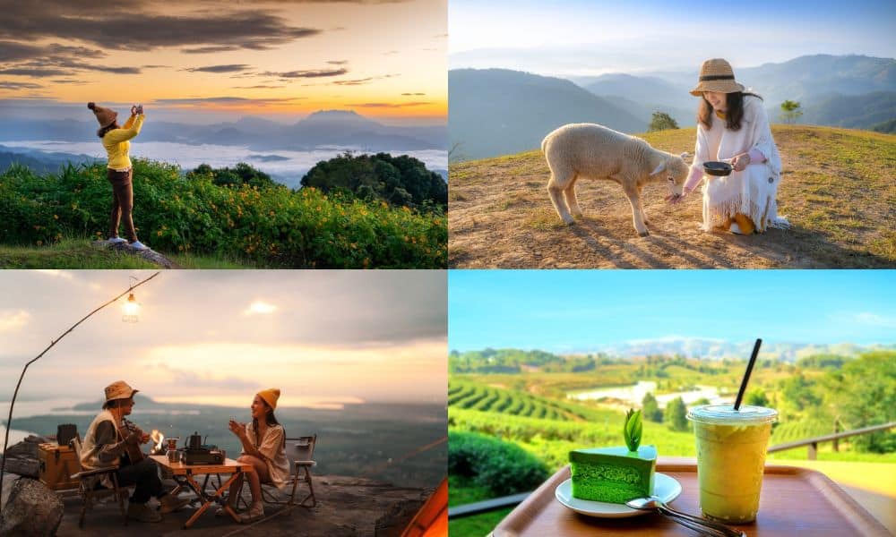 ภาพคอลลาจ 4 แผ่นที่แสดงสถานที่ท่องเที่ยวในเชียงราย ได้แก่ ภาพคนกำลังถ่ายภาพภูเขาในยามรุ่งอรุณ การให้อาหารลูกแกะ การตั้งแคมป์บนหน้าผา และการเพลิดเพลินกับเค้กและเครื่องดื่มพร้อมชมวิวไร่ชา.