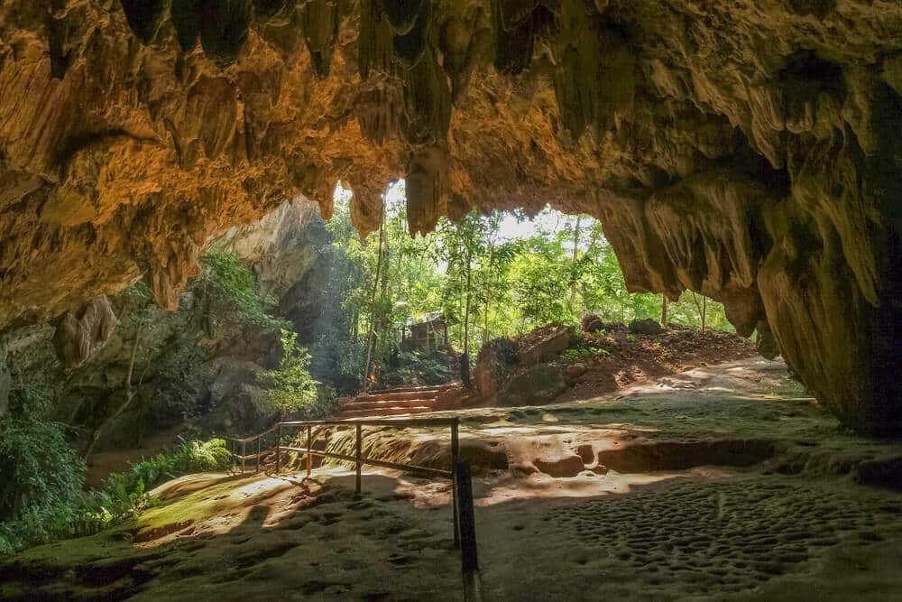 วิวจากภายในถ้ำหินปูน มองออกไปสู่ทางเดินในป่าที่แสงแดดส่องผ่าน พร้อมด้วยขั้นบันไดที่ด้านบน ที่เที่ยวเชียงราย.