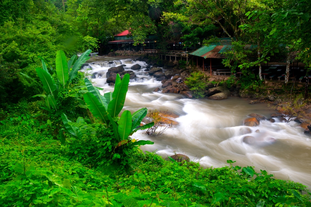 ลำธารที่มีน้ำไหลเชี่ยวเล็กน้อย ไหลผ่านที่พักไม้ในป่าที่ร่มรื่น เป็นจุดชมวิวที่สวยงามสำหรับเที่ยวเมืองนครนายก.