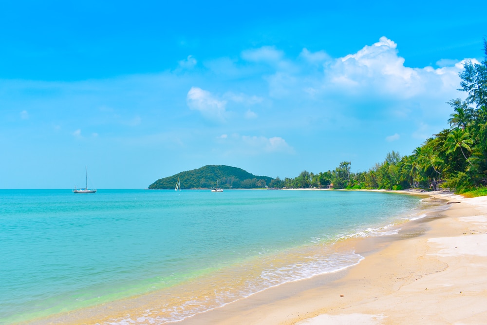 ชายหาดทรายที่มีต้นไม้เรียงรายตามชายฝั่ง และเรือใบลอยอยู่บนน้ำใต้ท้องฟ้าสีฟ้าใส เป็นสถานที่ที่สมบูรณ์แบบสำหรับกา ที่เที่ยวเกาะสมุย 2026 